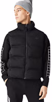 Shop LACOSTE 輕量保暖立領背心 BH4609