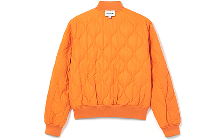 Purchase LACOSTE  Reversible Green Bomber Jacket with Solid Logo. BH4473-806