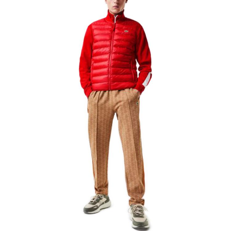 Purchase LACOSTE 素色保暖無袖羽絨背心 BH0537