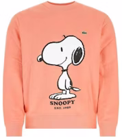 LACOSTE Cartoon Graphic Crewneck Sweatshirt Pink Orange SH77655MM LACOSTE Cartoon Graphic Crewneck Sweatshirt Pink Orange SH77655MM