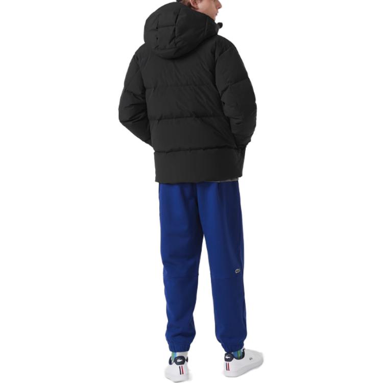 LACOSTE FW23  Black Cotton Padded Jacket, Stylish & Warm Long Sleeve. BH8530-031 圖 4