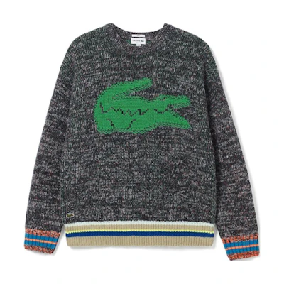 LACOSTE Unisex Loose Fit Crew Neck Long Sleeve Sweater Dark Grey. AH1780