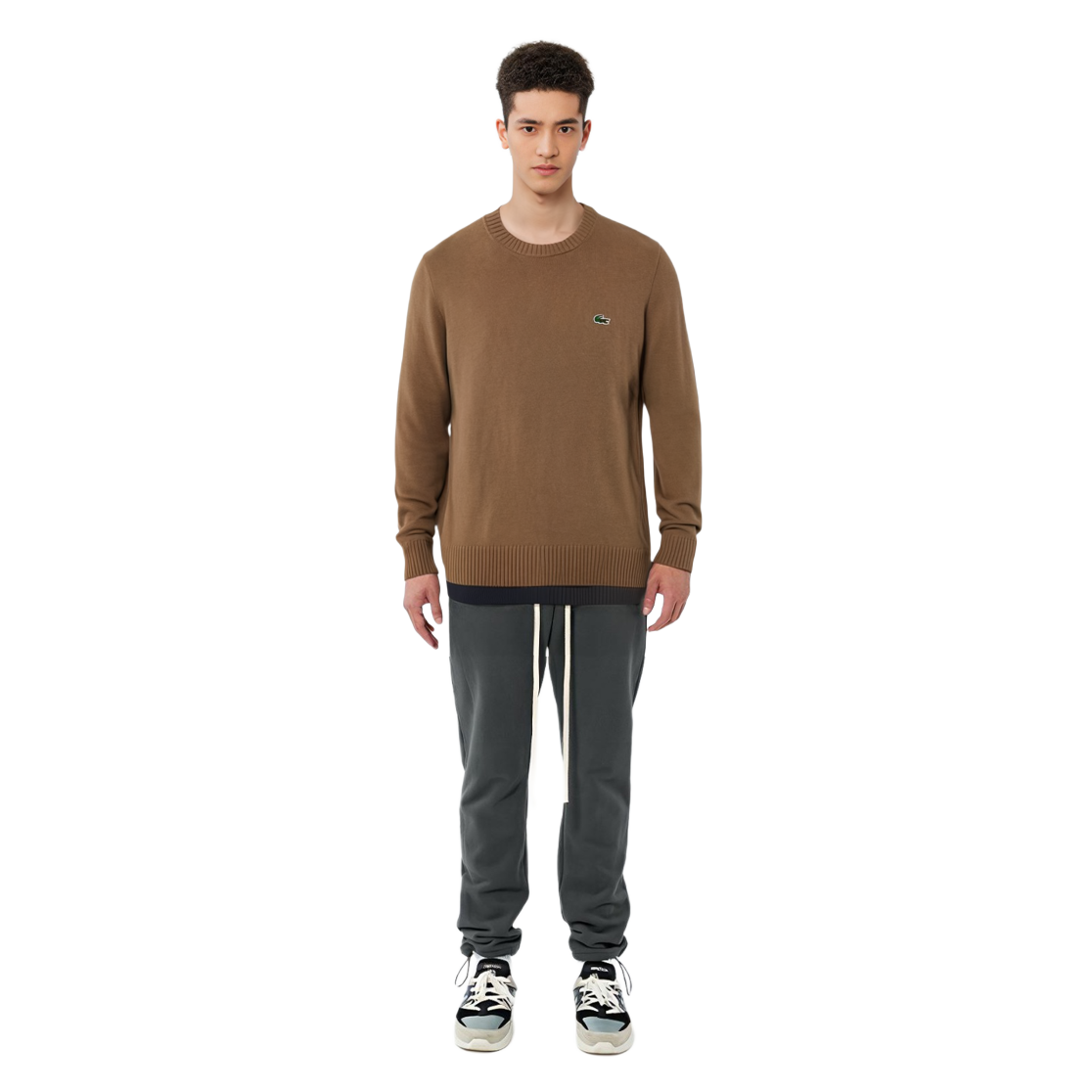 Purchase LACOSTE Unisex Sweater Crewneck Solid Khaki AH0442-SIX