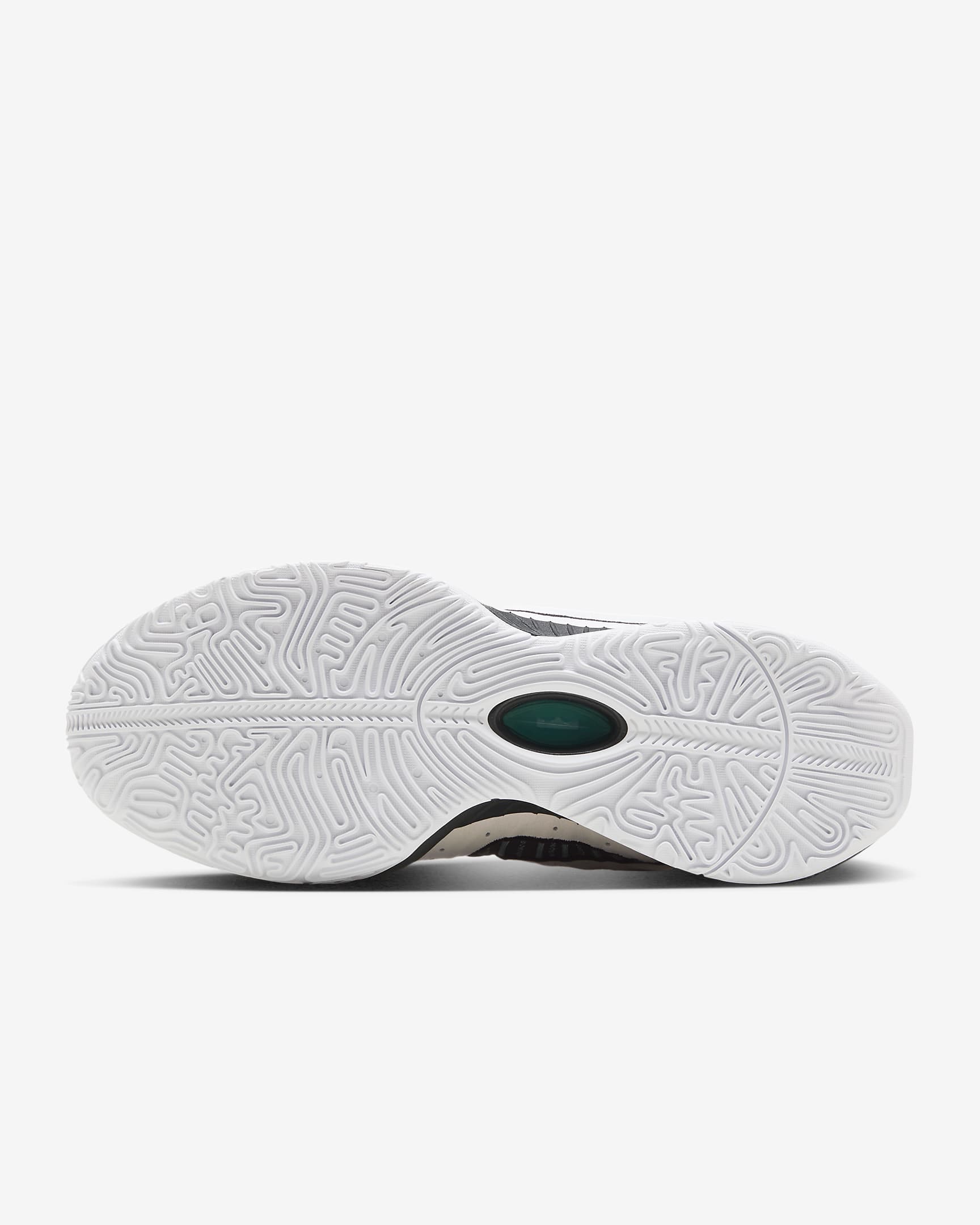 Order LeBron 21 "Conchiolin" EP zapatillas deportivas. HF5842-100