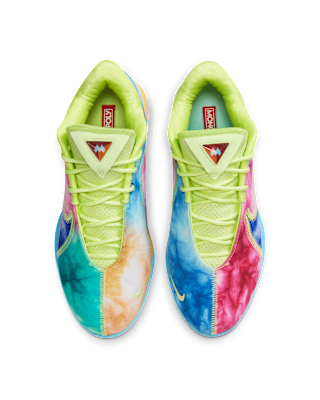 Shop LeBron XXII EP 籃球鞋 HV8621-300