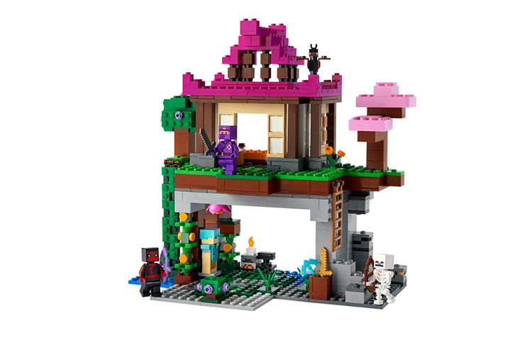 Buy LEGO Minecraft El Campo de Entrenamiento Set 21183 LEGO_21183