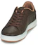 Shop Levi''s Comfort Cushioned Durable Low-Top ''Marrone Scuro'' 234234-661-29