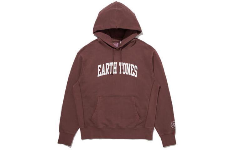 Levi's Fitted Hoodie with Letter Print in Earth Tone. A7386-0004
