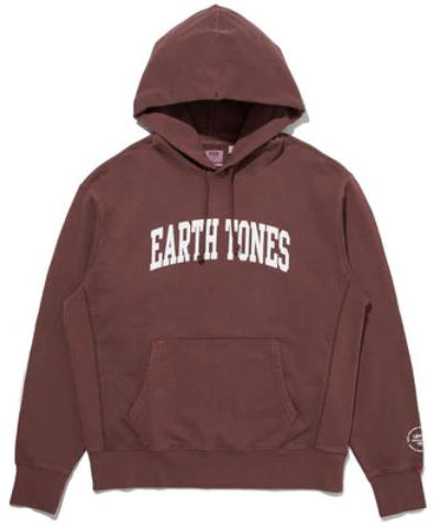 levi-s-fitted-hoodie-with-letter-print-in-earth-tone-a7386-0004