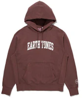 Levi's Fitted Hoodie with Letter Print in Earth Tone. A7386-0004 Levi's Fitted Hoodie with Letter Print in Earth Tone. A7386-0004
