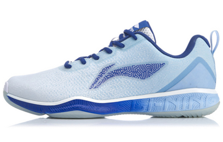 Li-Ning Badminton Shoes AYTP019-13