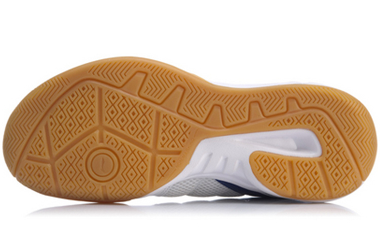 Purchase Sepatu Latihan Bulutangkis Li-Ning AYTP065-1