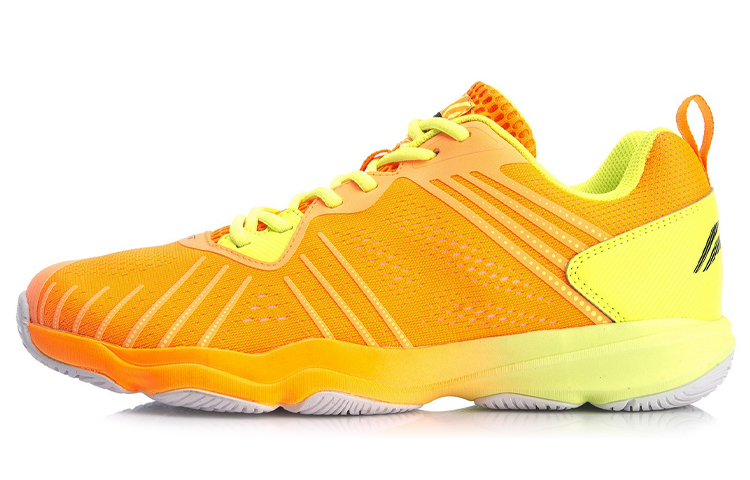 Li-Ning Badminton Training Shoes AYTQ029-3
