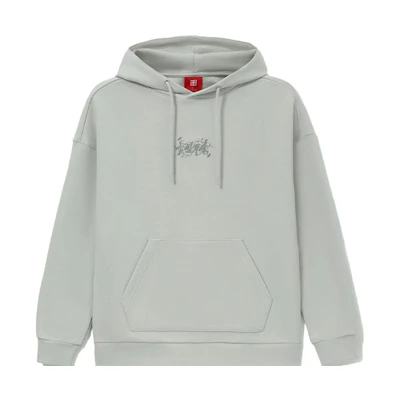 Li-Ning Lingzhi Series Logo Graphic Hoodie Unisex - Gray AWDRF51-4