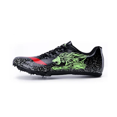 Li-Ning Professional Low-Top Running Shoes 'Black Green'