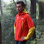 Details for Li-Ning Running Series Waterproof Windproof Breathable Jacket Unisex Red/Yellow ACFV005-4