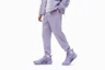 Order Li-Ning Super Light V2 ''Raisin Violet'' ABAT029-5
