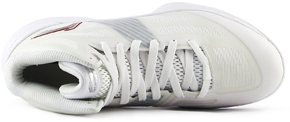 Li-Ning Superlight 10 'White Grey' ABPL069-5 Order Li-Ning Superlight 10 'White Grey' ABPL069-5