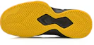 Purchase Li-Ning Ultra Light Basketballschuhe ''Blau Schwarz Gelb'' ABPM003-1