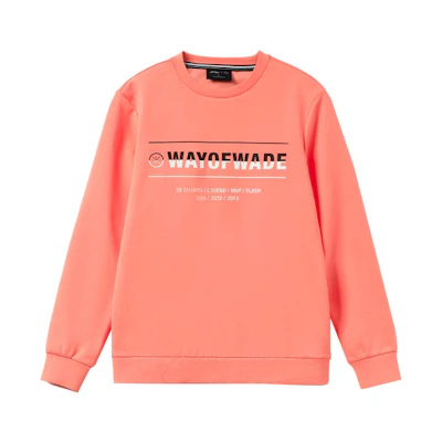Li-Ning Wade Series Letter Print Pullover Hoodie Desert Pink AWDR437-4