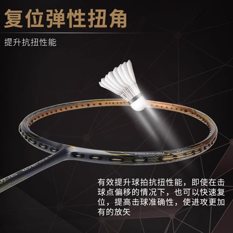 Sizing Li-Ning Wind Blade 900 Full Carbon Badminton Racket Durable High-Speed Pro 675mm AYPM426-1