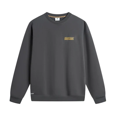 Li-Ning Mister Cartoon BADFIVE Graphic Pullover Hoodie Obsidian Grey AWDTF29-4