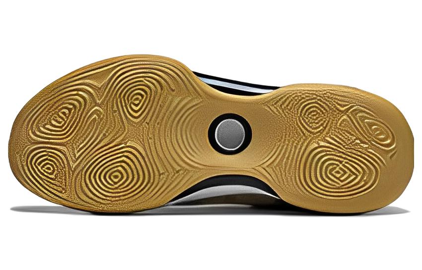 Shop 李寧 馭帥XIV Low "コーヒー" (Rīning Yùshuài XIV Rō "Kōhī") ABAS161-5