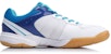 Kasut Latihan Badminton Li-Ning AYTP065-1