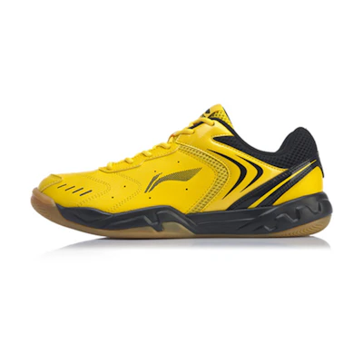 Li-Ning Badminton Training Shoes
