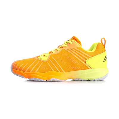 Li-Ning Badminton Training Shoes