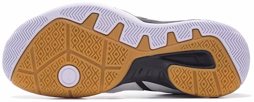 LiNing李寧 小羽 織物 防滑耐磨 低幫 羽毛球鞋 白黑色 Sizing LiNing李寧 小羽 織物 防滑耐磨 低幫 羽毛球鞋 白黑色