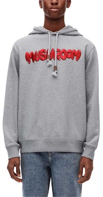 LOEWE FW23 Oversized Grey Hoodie with Letter Embroidery. H526Y25X33-1440 Lookbook LOEWE FW23 Oversized Grey Hoodie with Letter Embroidery. H526Y25X33-1440