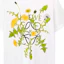 Cheap ロエベ SS23 ホワイト フローラルロゴ プリント オーバーサイズ Tシャツ. H526Y22X70-2100