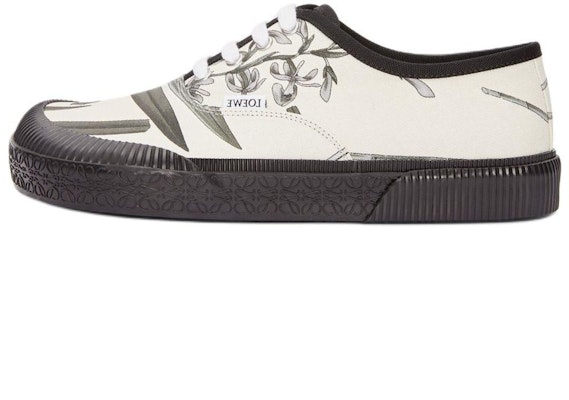 LOEWE Canvas Sneaker Low 'Green Lace-Up' M616282X37-9990 Buy LOEWE Canvas Sneaker Low 'Green Lace-Up' M616282X37-9990