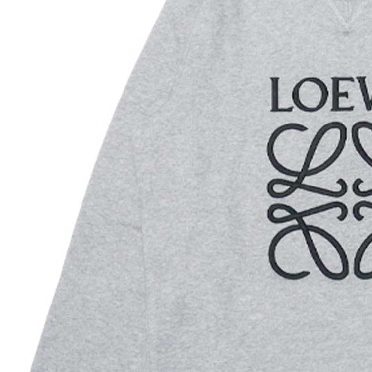 Details for LOEWE 2021秋冬灰色刺绣Logo套头卫衣. H6169410OF-1120