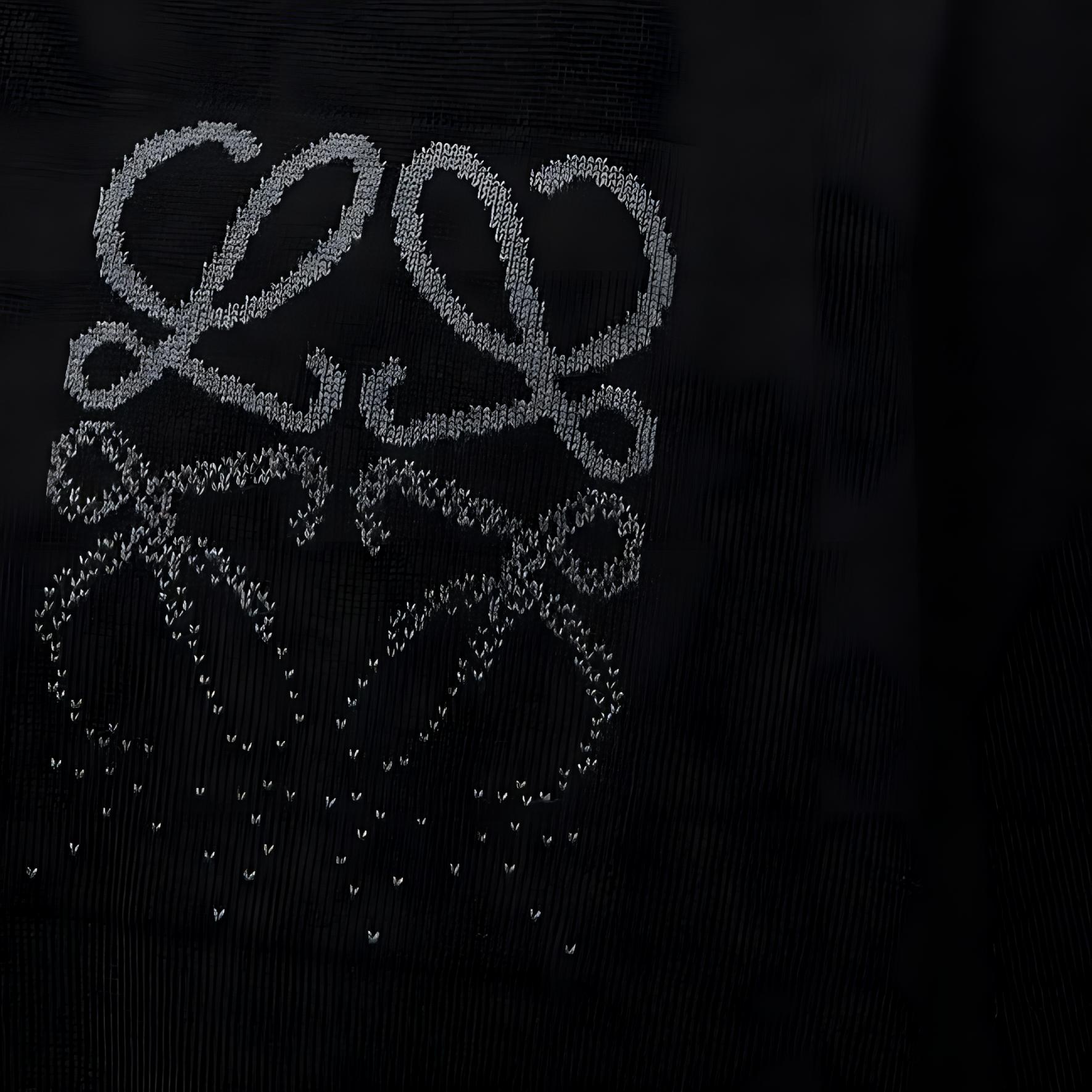 Details for Suéter de Cachemira V-Neck con Logo Jacquard Negro LOEWE FW24. H526Y14KIS-1547