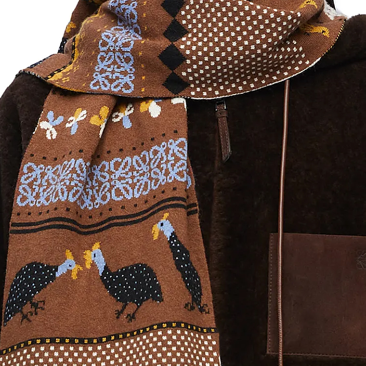 Shop LOEWE Knit Wool Scarf Unisex Couple Style Brown F811487X40