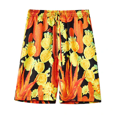 LOEWE SS22 Paula's Ibiza Cactus Print Drawstring Shorts Yellow . H616Y04X47-1108