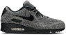 Loopwheeler x Nike Air Max 90 'Pelbagai Warna' CQ7854-001