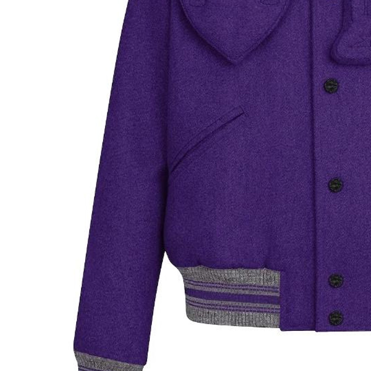 Louis Vuitton  Purple Striped Single-Breasted Baseball Jacket. 1A5Q84 圖 5