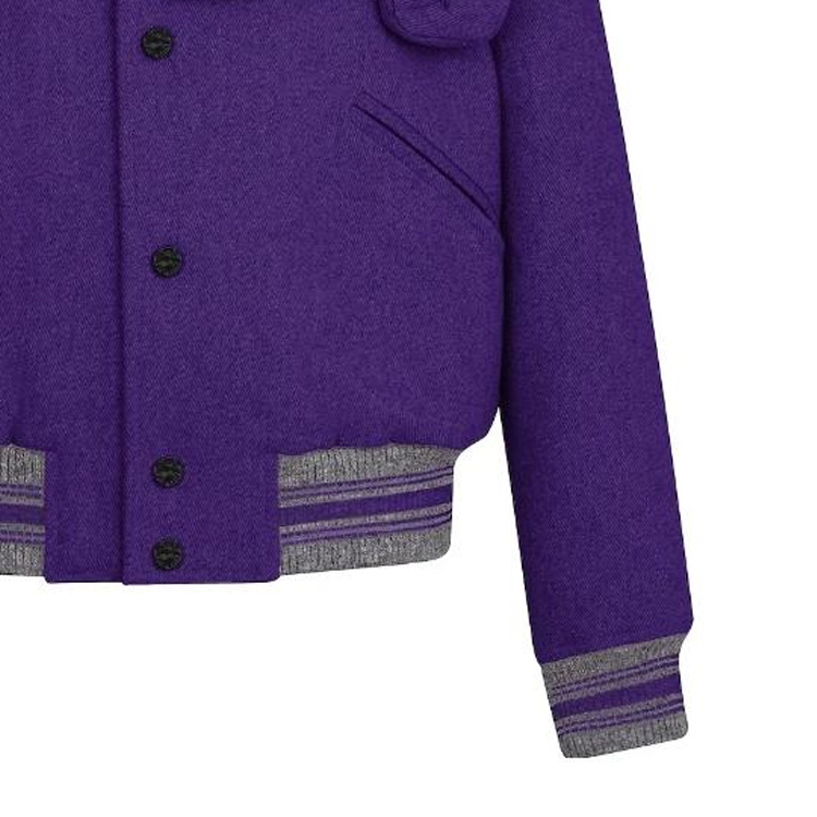 Louis Vuitton  Purple Striped Single-Breasted Baseball Jacket. 1A5Q84 圖 6