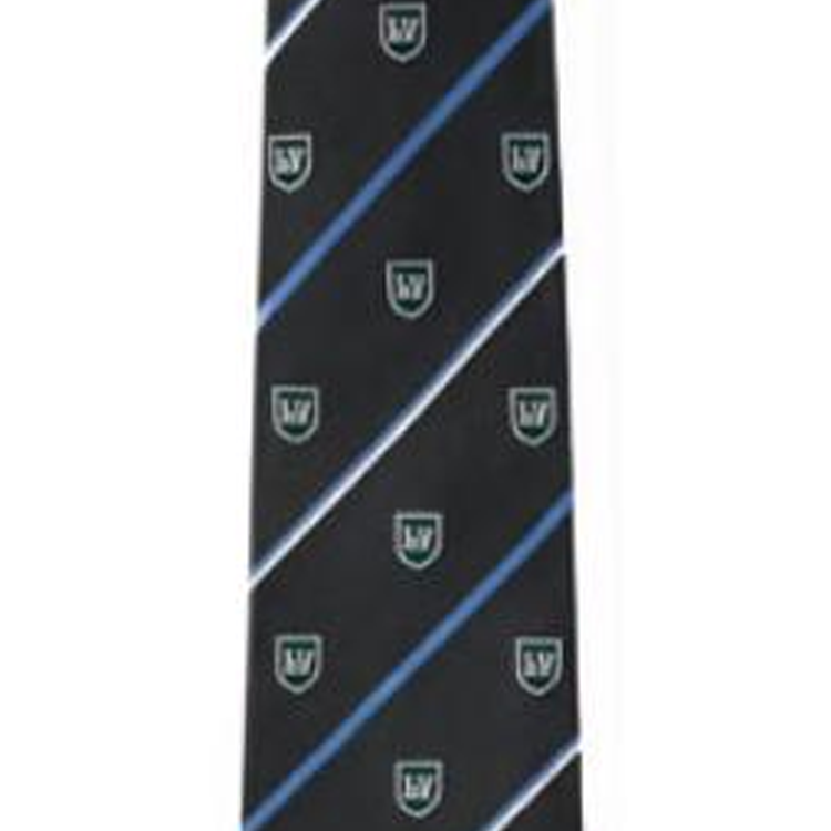 Lookbook 루이비통 타이 앤트러사이트 컬러블록 대각선 스트라이프 실크 M94777