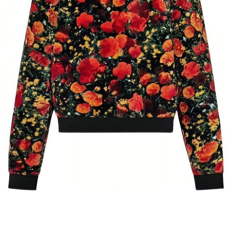 Sizing 路易威登多彩花卉印花连帽衫 1A53NJ