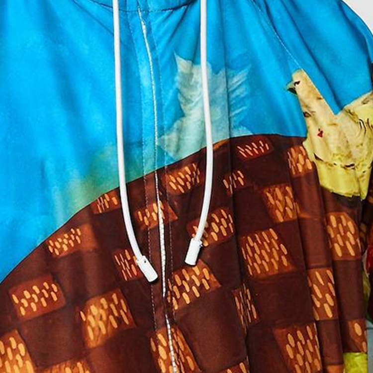 LOUIS VUITTON FW23  Printed Zip-Up Windbreaker Multicolor. 1ABXSH 圖 7