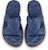 Louis Vuitton Oasis Mule 'Biru' 1AA4E5