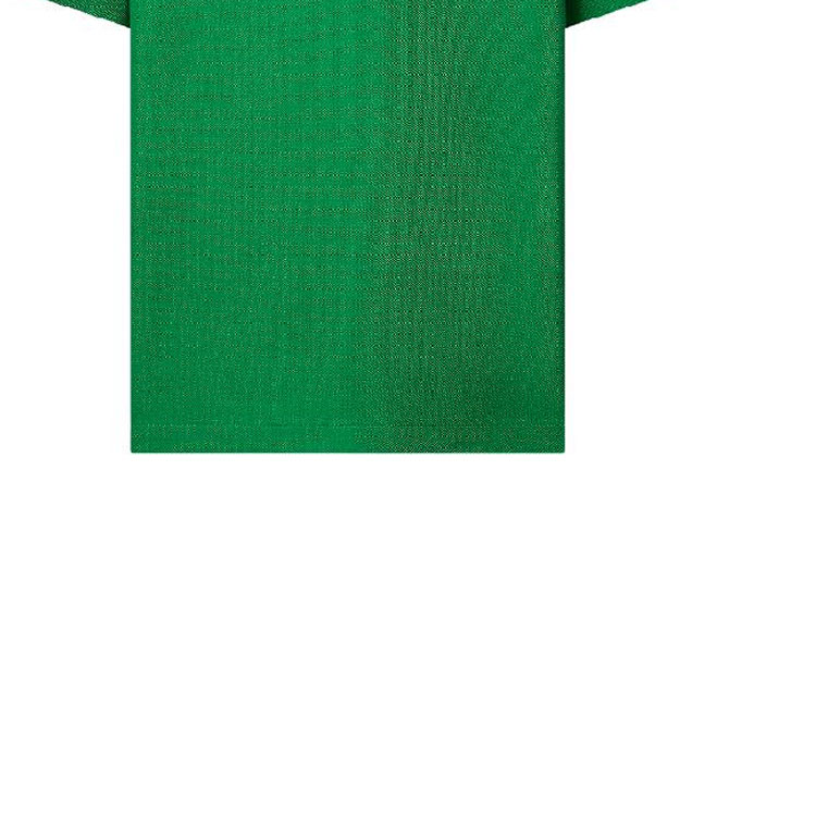 Shop LOUIS VUITTON SS24  Green Embroidered Letter Casual Polo Shirt. 1AFQ81