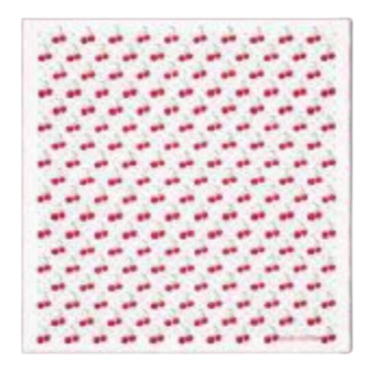 LOUIS VUITTON Takashi Murakami Collaboration White Shawl Unisex情侣款 M96076