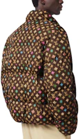 Shop LOUIS VUITTON x Tyler SS24 Colorblock Logo High-Neck Puffer Jacket Multi-. 1AFRC1