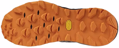 Purchase Maharishi x Mizuno Wave Mujin LS GORE-TEX ''Orange Vibrant'' D1GD250101