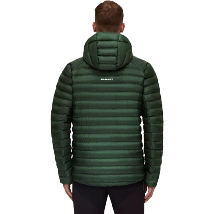 Shop MAMMUT Albula 單色保暖連帽夾克 1013-01781